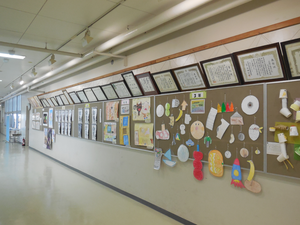 Untitled design (3).png