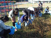 DSC06729.JPG