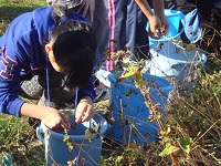 DSC06730.JPG
