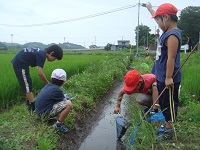 DSC09400.JPG