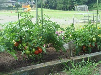 DSC09436.JPG
