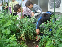 DSC09453.JPG