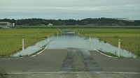 DSC09981.JPG