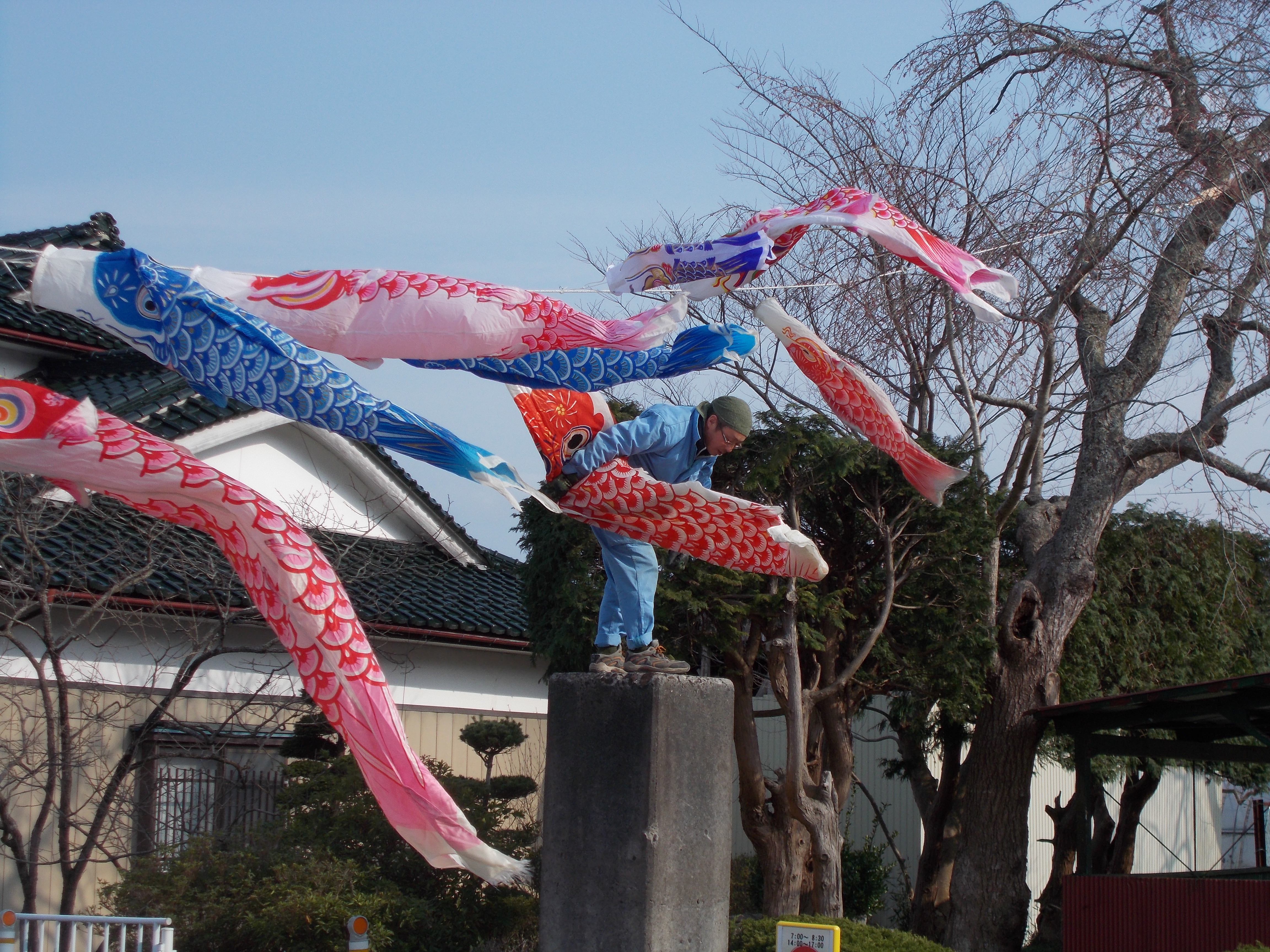 DSCN0622.JPG