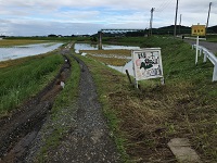 IMG_6453.JPG