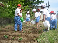 IMG_7625.JPG