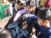 IMG_7979.JPG