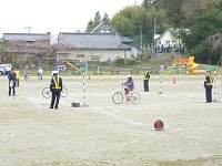 P1100335.JPG