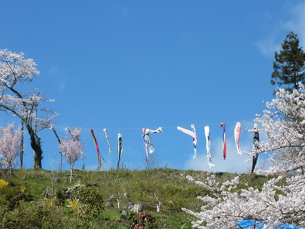 P1100347.JPG