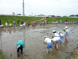 P1100510.JPG