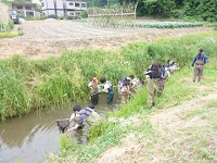 P1100650.JPG