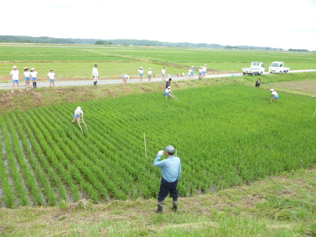 P1100764.JPG