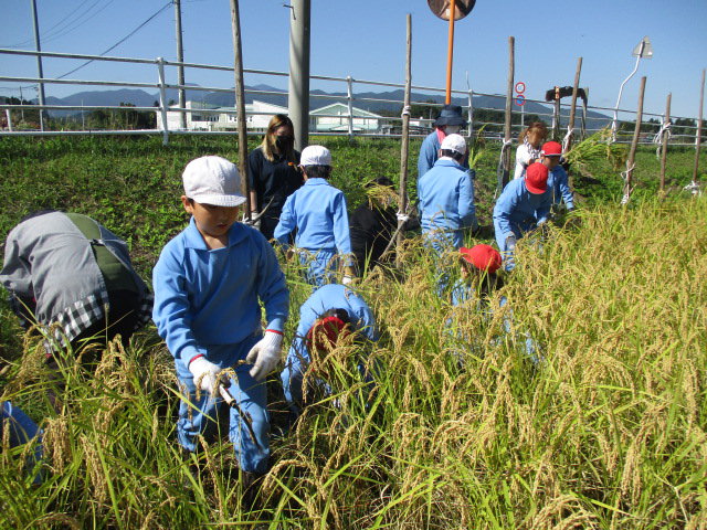 https://www.taiwa-tk.ed.jp/yoshida-e/02.JPG