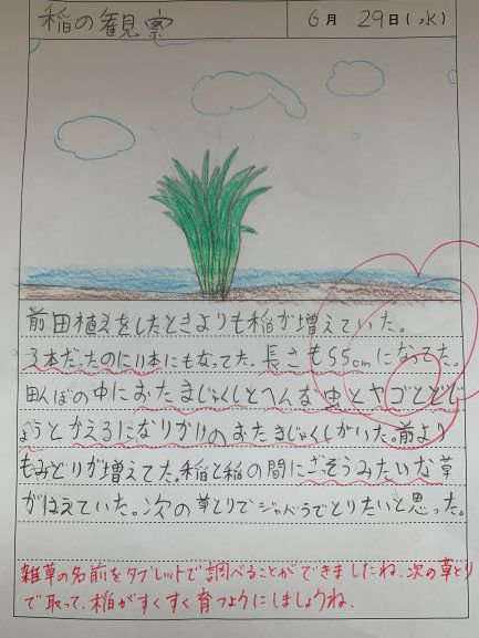 https://www.taiwa-tk.ed.jp/yoshida-e/1234.JPG