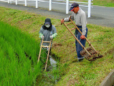 https://www.taiwa-tk.ed.jp/yoshida-e/2e190820b639b3f6df08f6b305952b1da93fdf32.jpg