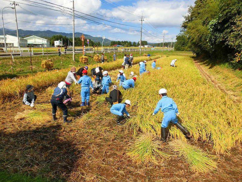 https://www.taiwa-tk.ed.jp/yoshida-e/45b505fb8e3c48d55be3e4aab8fe20404461e437.jpg