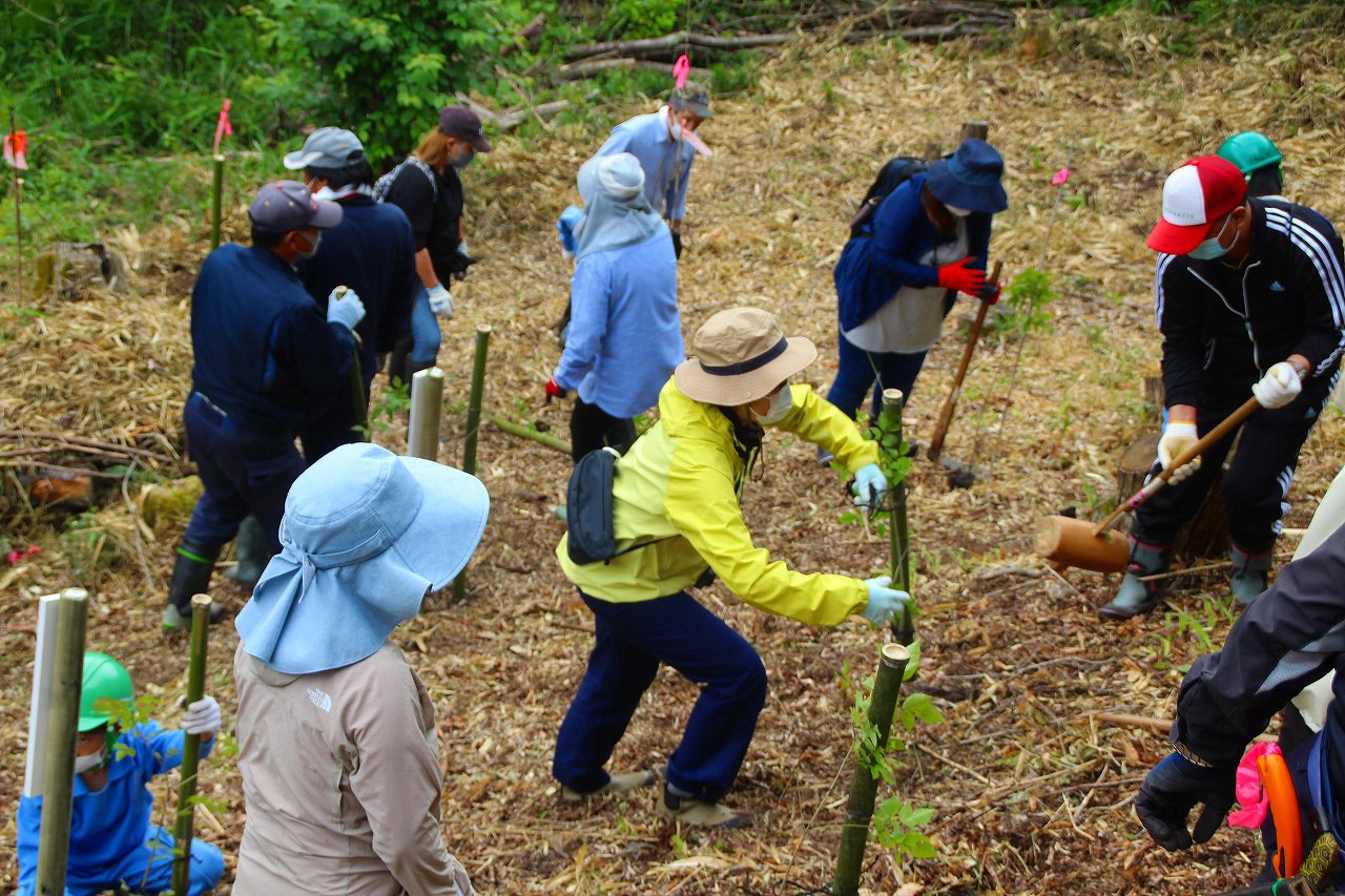 https://www.taiwa-tk.ed.jp/yoshida-e/520d112c5f4fe776027c5e725298e14a1c13602a.jpg