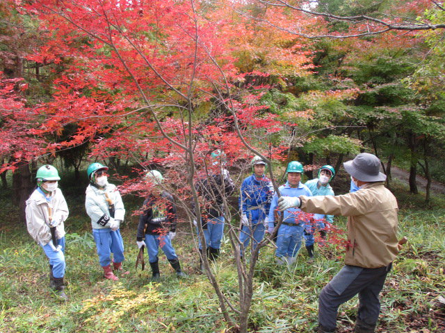 https://www.taiwa-tk.ed.jp/yoshida-e/IMG_7875.JPG