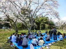 桜弁当２.JPG