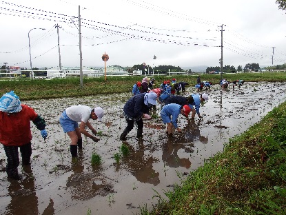 田植え２.JPG