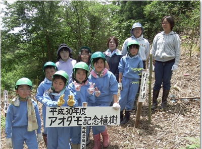 キャプチャ.PNG