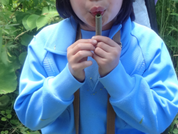 草笛.PNG