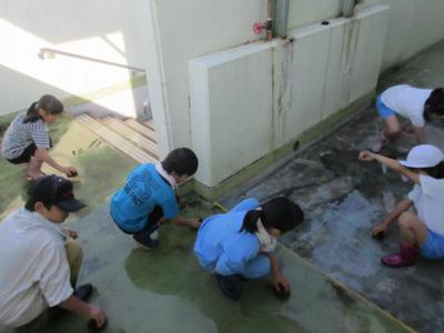 20190526親子奉仕作業 (73).jpg