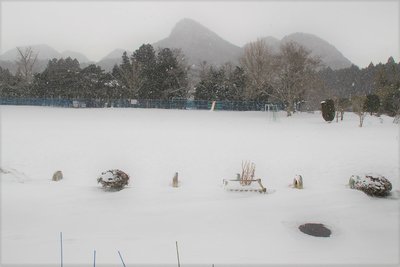 s-R030120 IMG_6477 (2).jpg