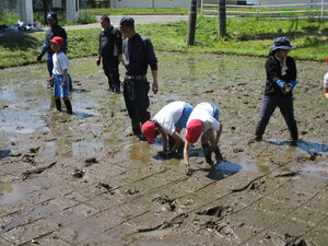 IMG_3778.JPG