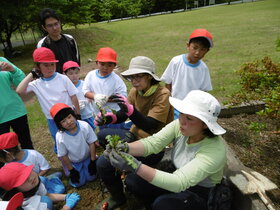 P1070239.JPG