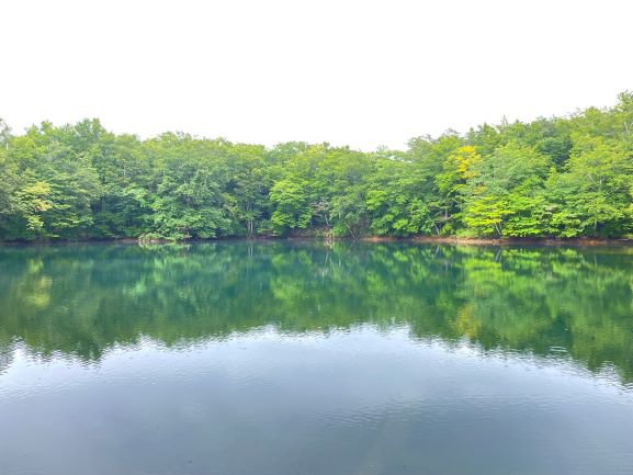 https://www.taiwa-tk.ed.jp/yoshida-e/cfb5479535f2013267af8d9f9cce2ff1cacc6285.JPG