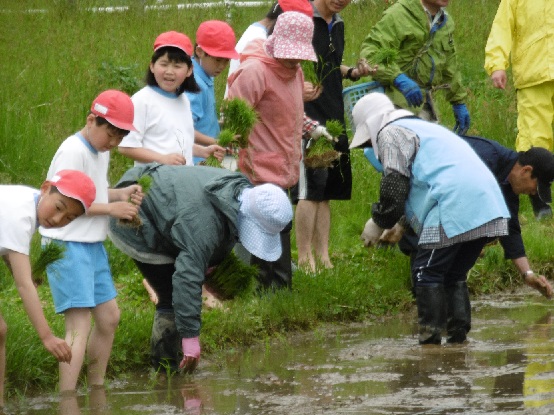 田植え１.jpg