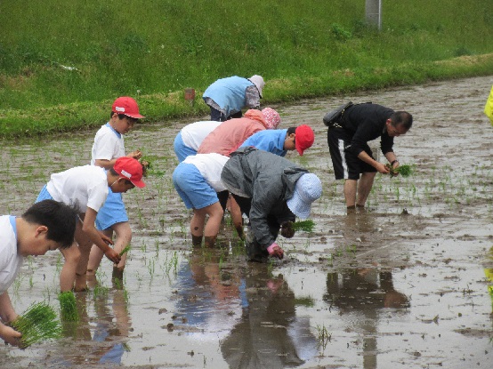 田植え２.jpg