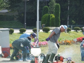船形コロニー奉仕作業２.JPG