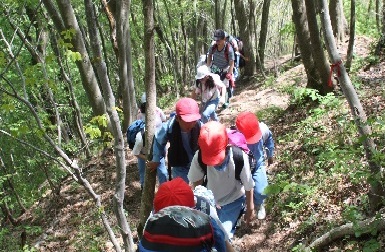 Ｈ２７年度全校遠足・撫倉山 021