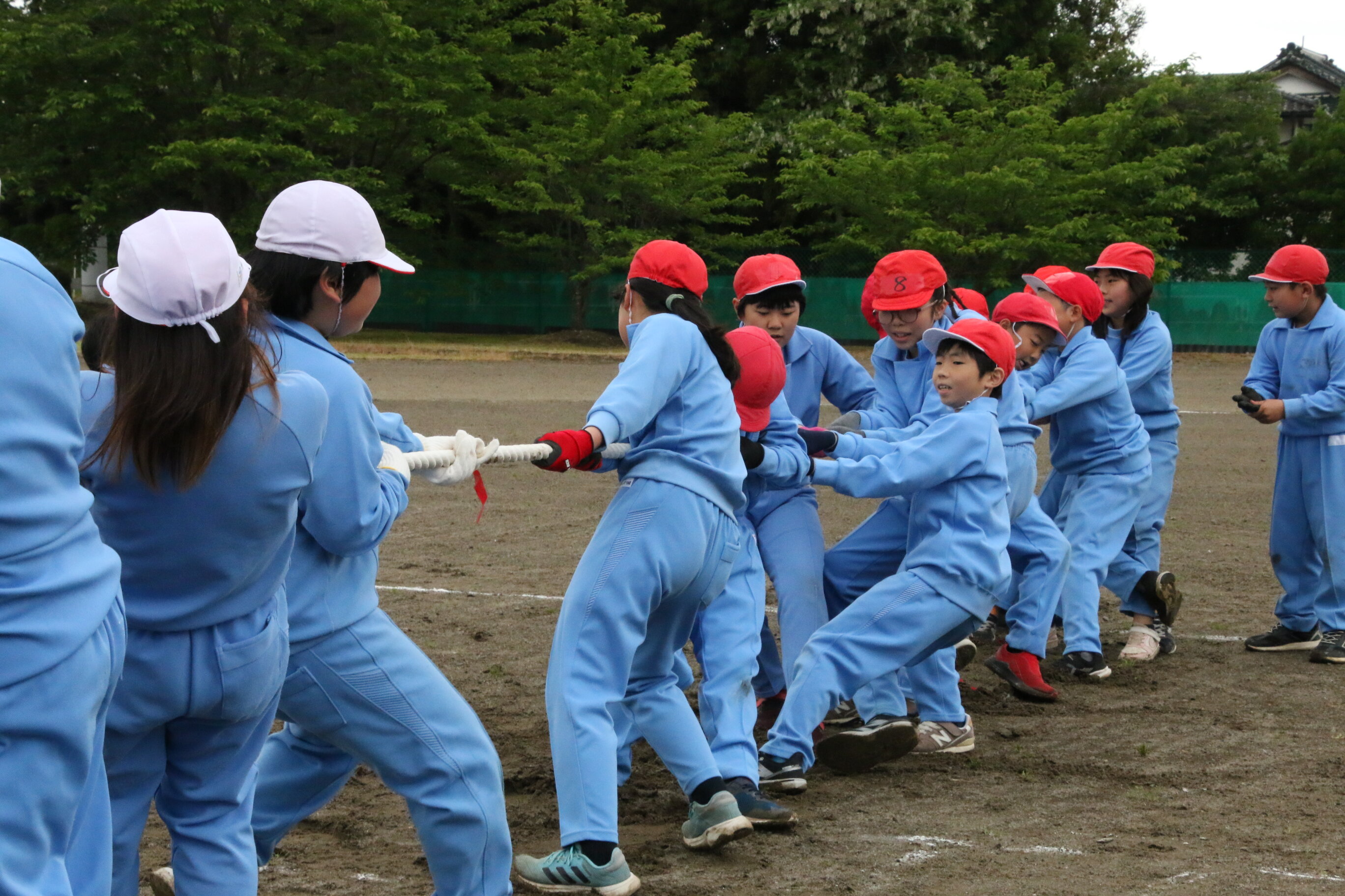 https://www.taiwa-tk.ed.jp/yoshida-e/files/06fdf55267b715127283d796f0b8a42b79161cdf.jpg