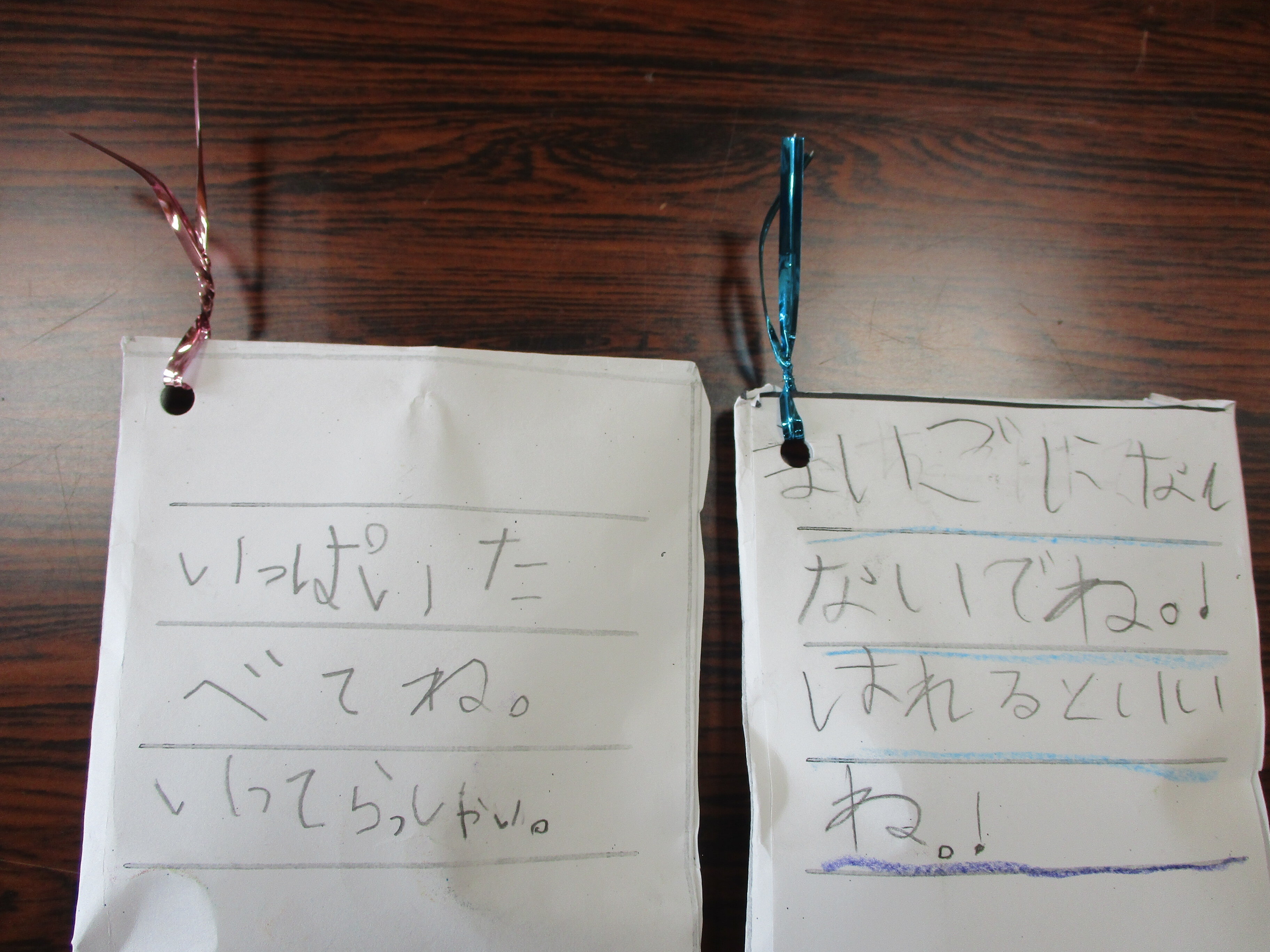 https://www.taiwa-tk.ed.jp/yoshida-e/files/IMG_3911.JPG