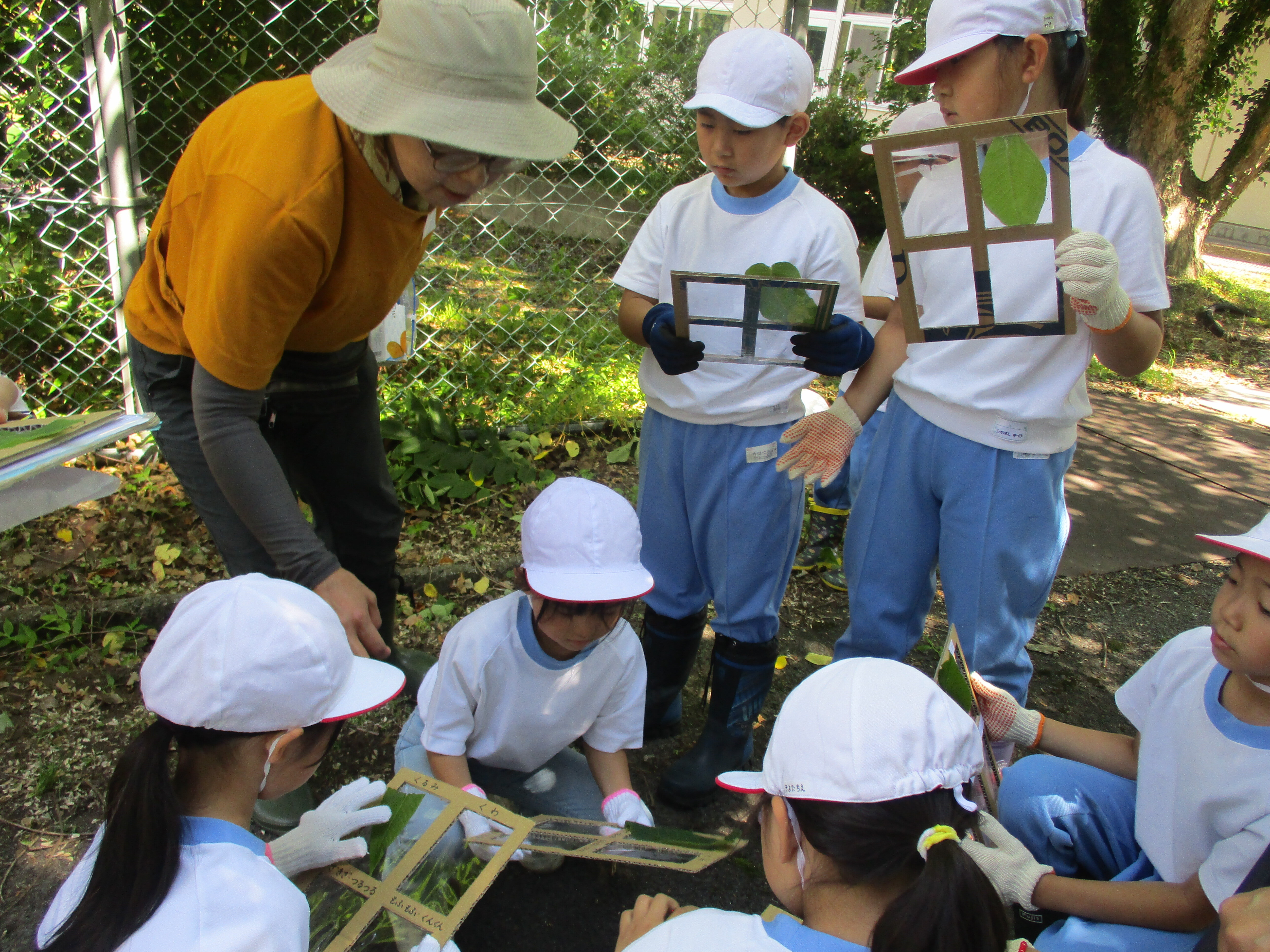 https://www.taiwa-tk.ed.jp/yoshida-e/files/IMG_7534.JPG