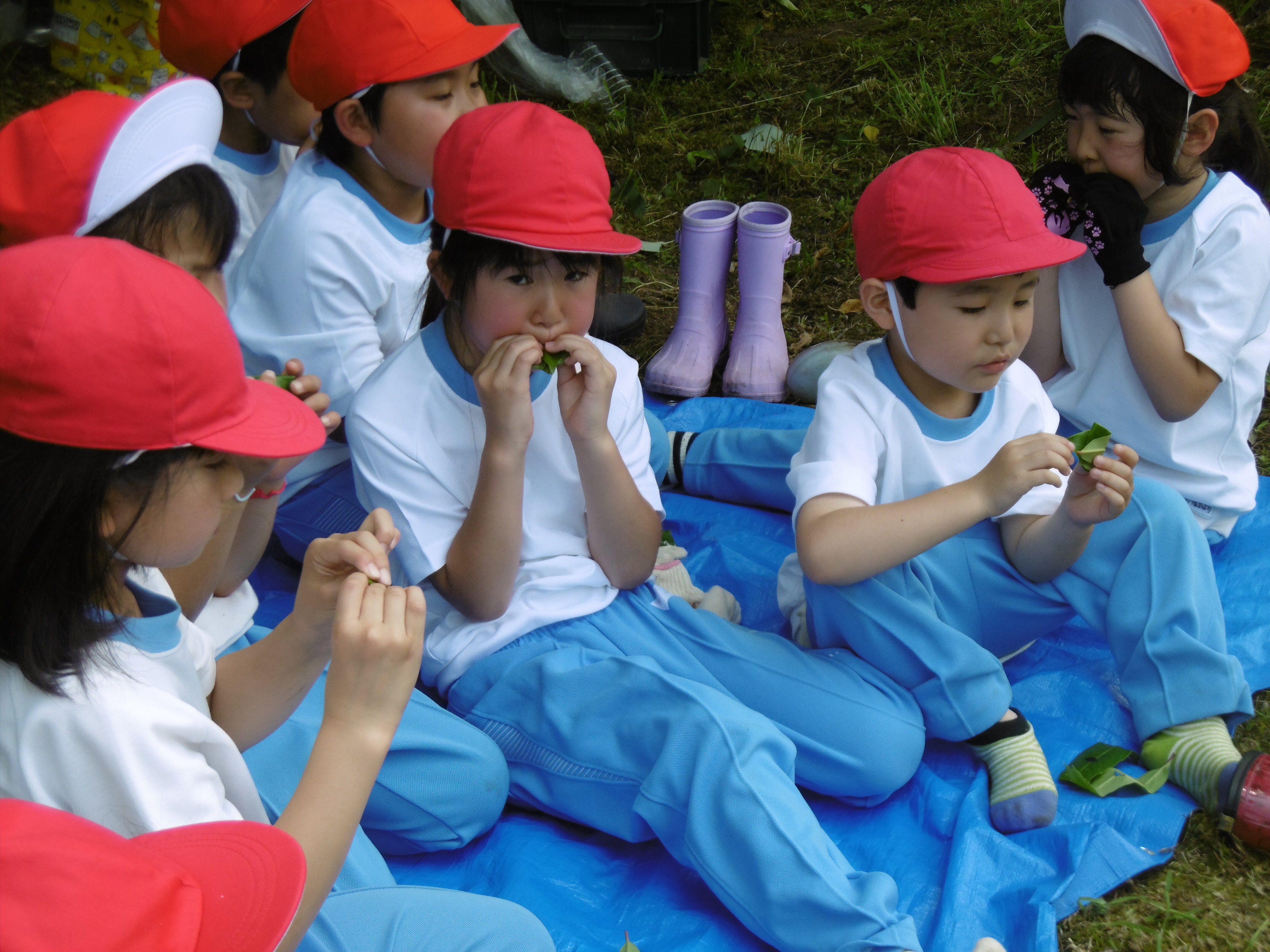 https://www.taiwa-tk.ed.jp/yoshida-e/files/P1070284.JPG