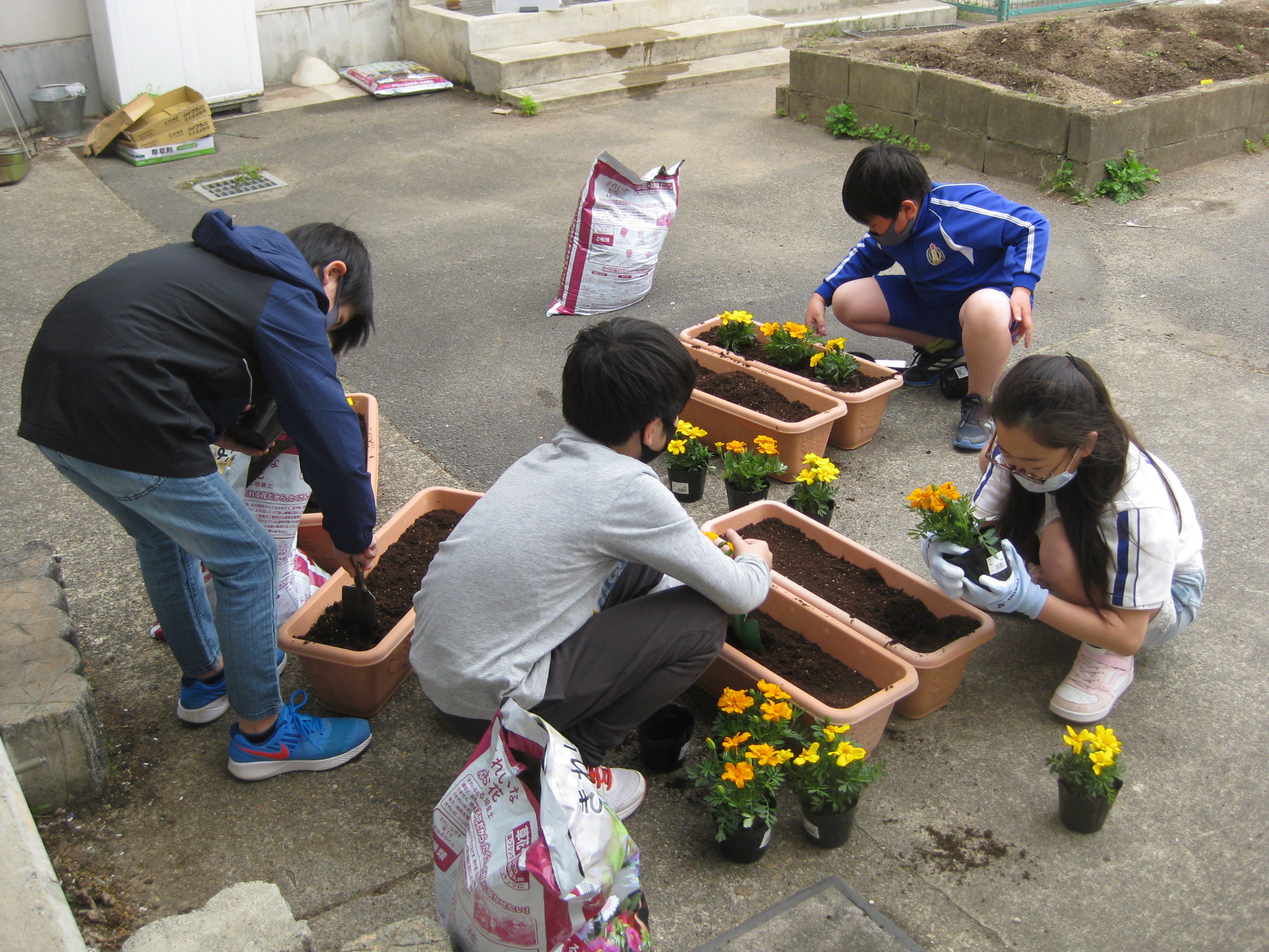 https://www.taiwa-tk.ed.jp/yoshioka-e/397f26ae589c4666f0f194c48d8fc6f14b80d333.JPG