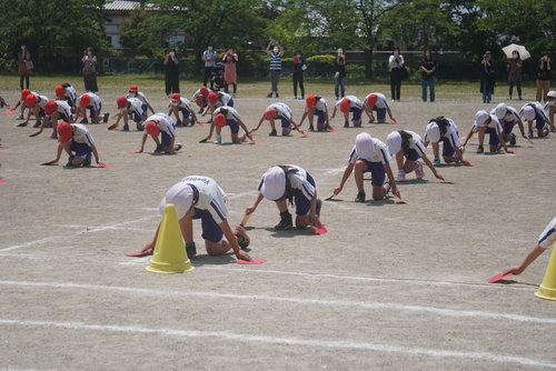 DSC01492.JPG