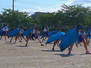DSCF0082.JPG