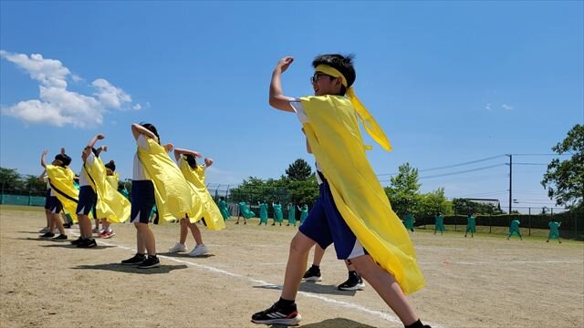 20250529_120534_R.jpg