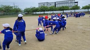 20250530_092039_R.jpg