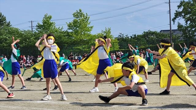 20250604_150650_R.jpg